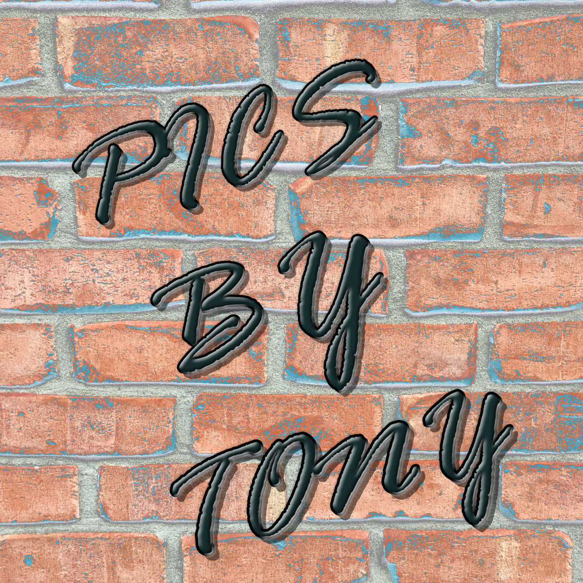 PICS BY TONY - Artist Website