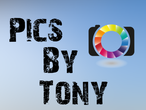 PICS BY TONY
